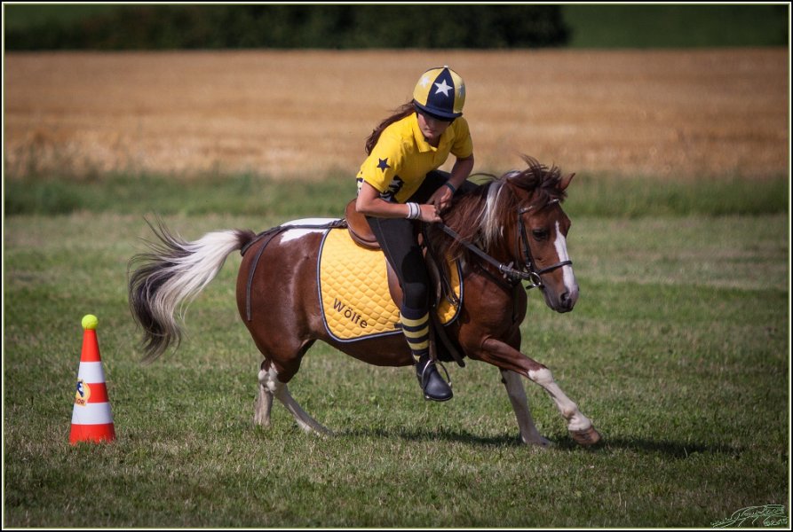 Mounted Games 320